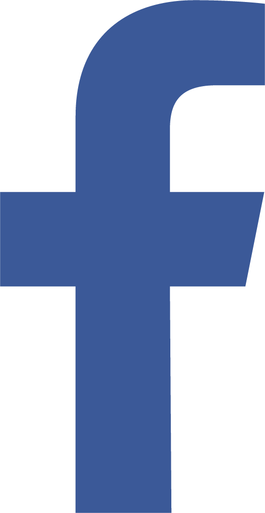 facebook option icon