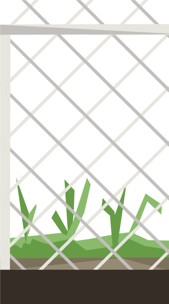 fenced lot right illustration