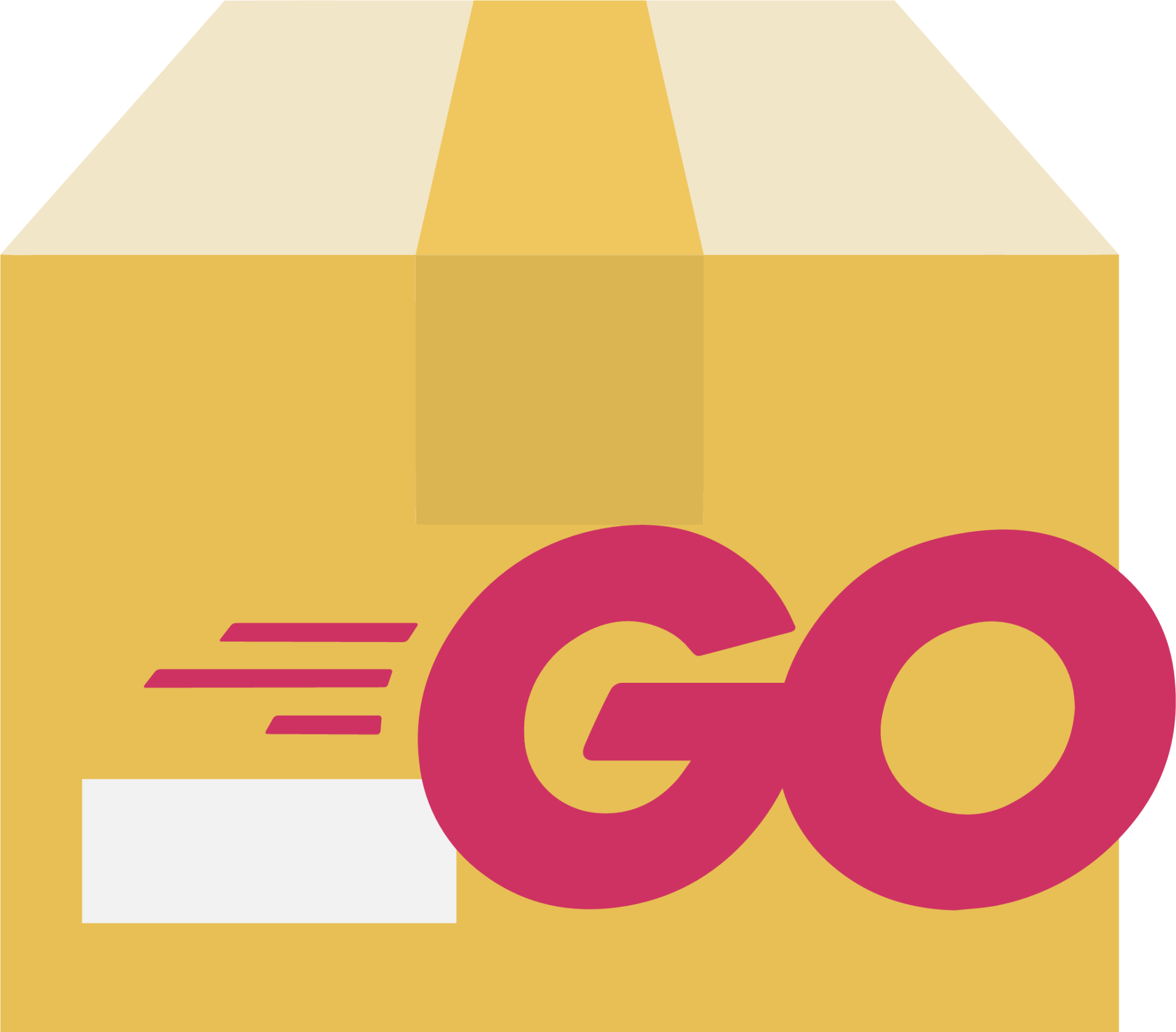 file type go package icon