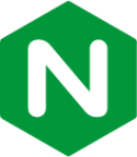 file type nginx icon