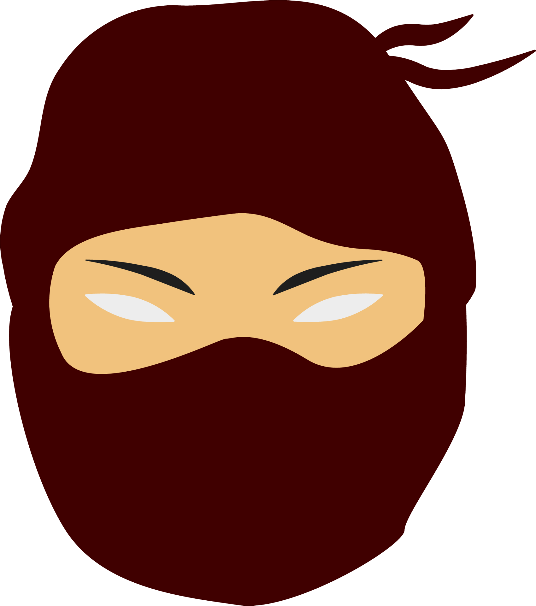 file type ninja icon