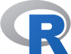 file type r icon