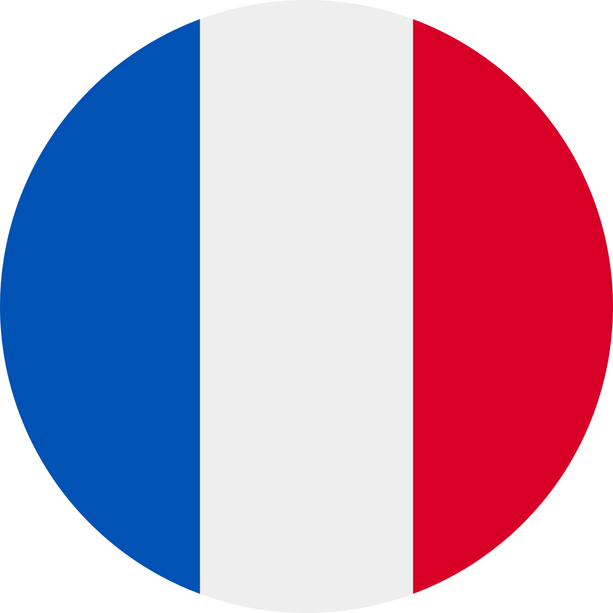 flag fr round icon