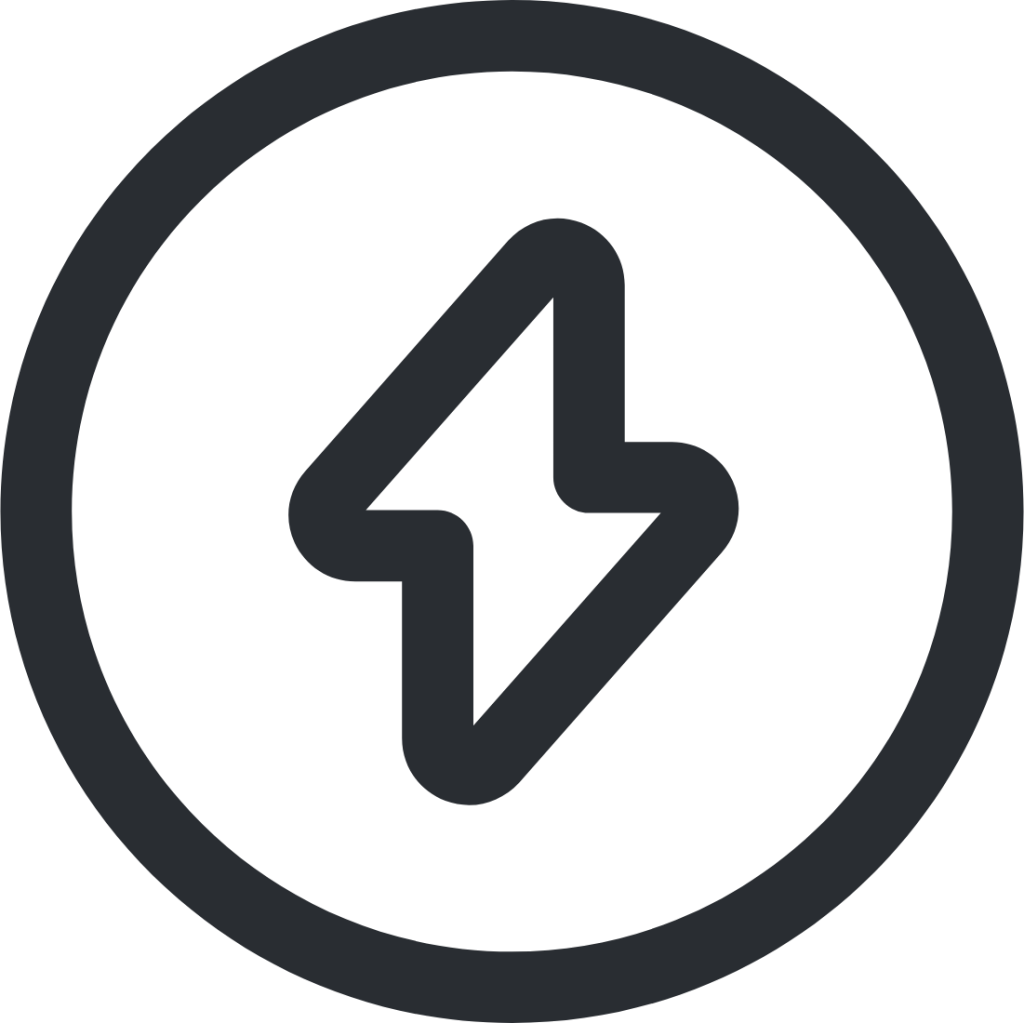 flash circle 1 icon