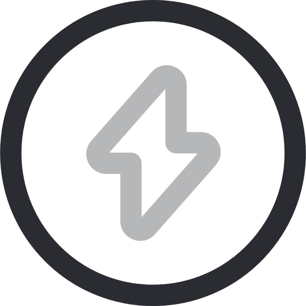 flash circle 1 icon