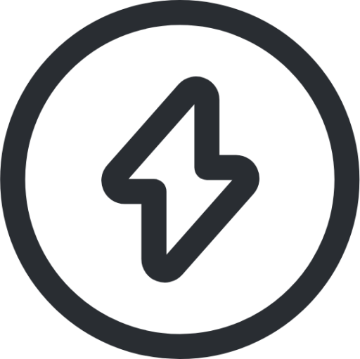 flash circle 2 icon