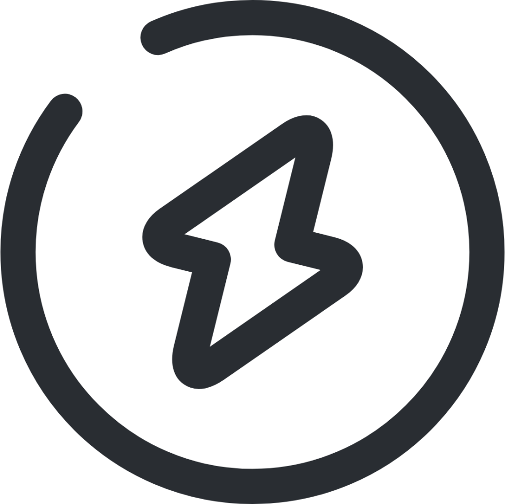 flash circle icon