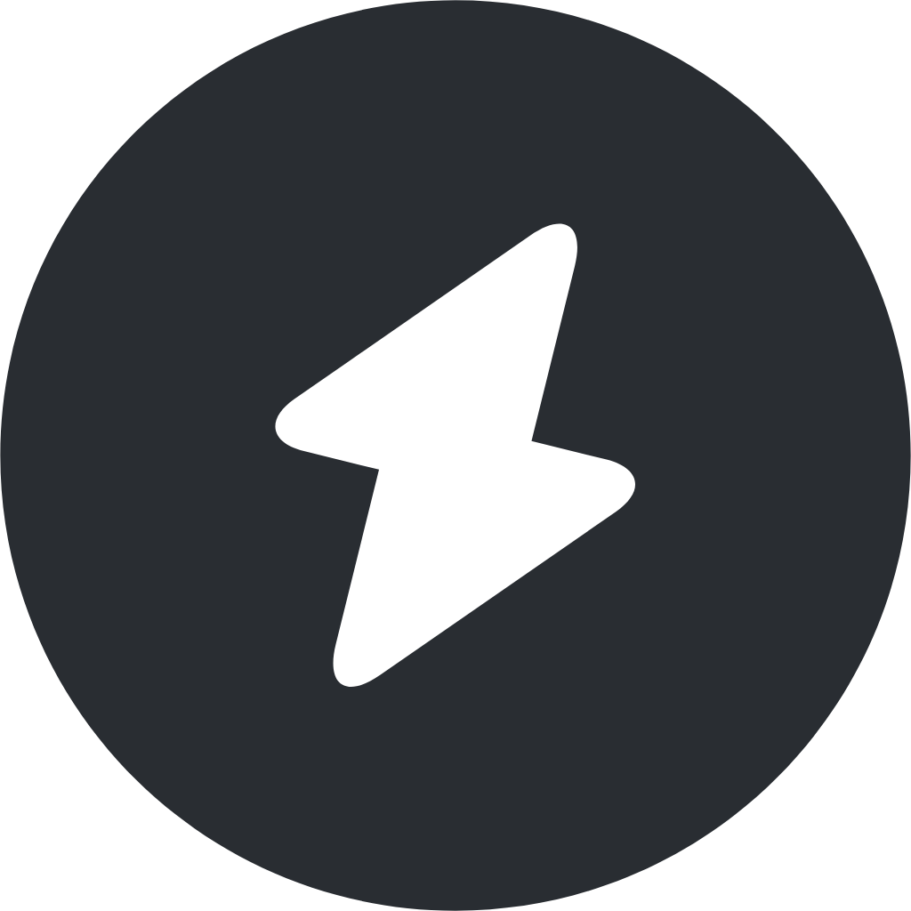flash circle icon