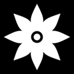 flower star icon
