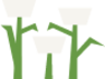 flowers white illustration