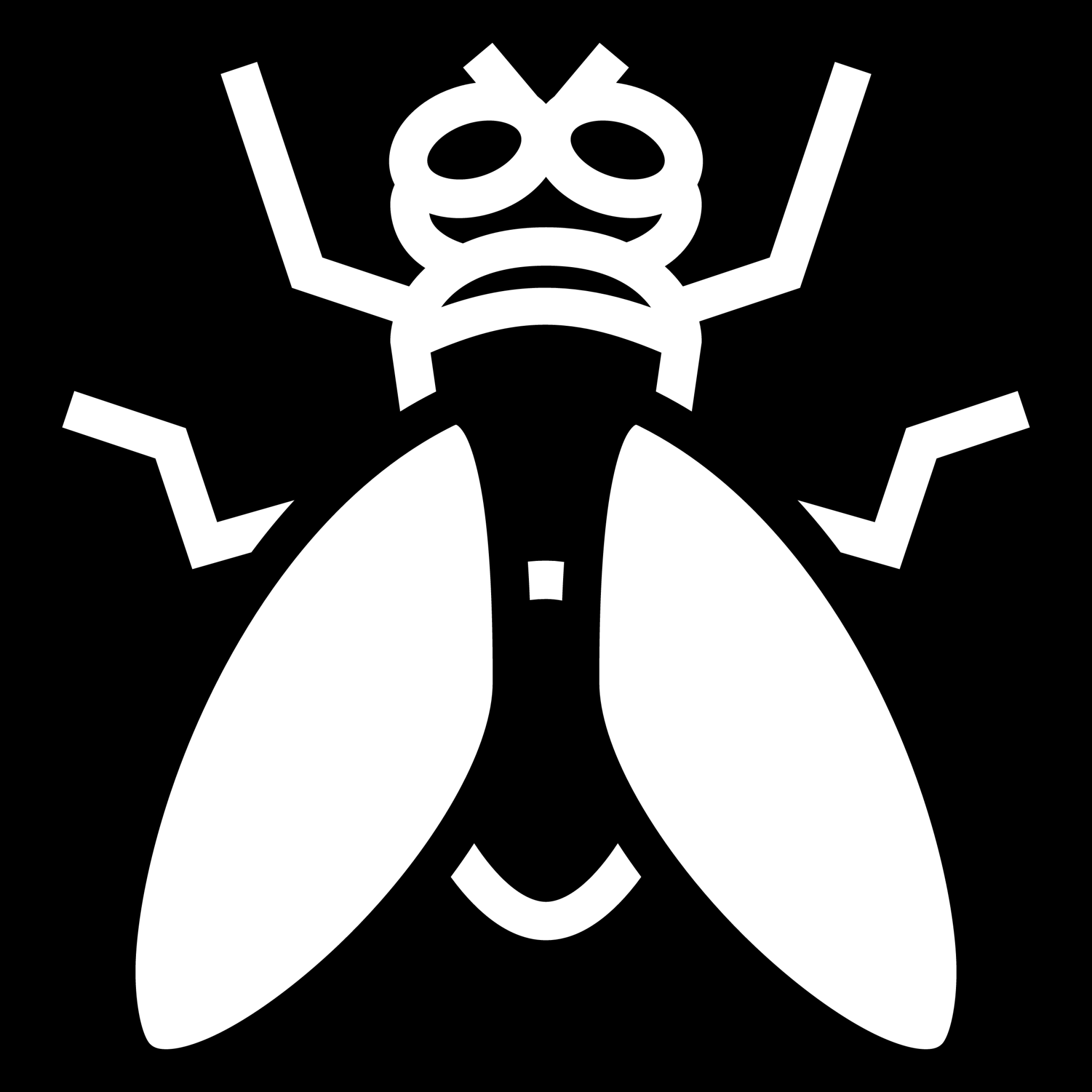 fly icon