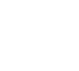 folder check icon