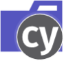 folder type cypress icon