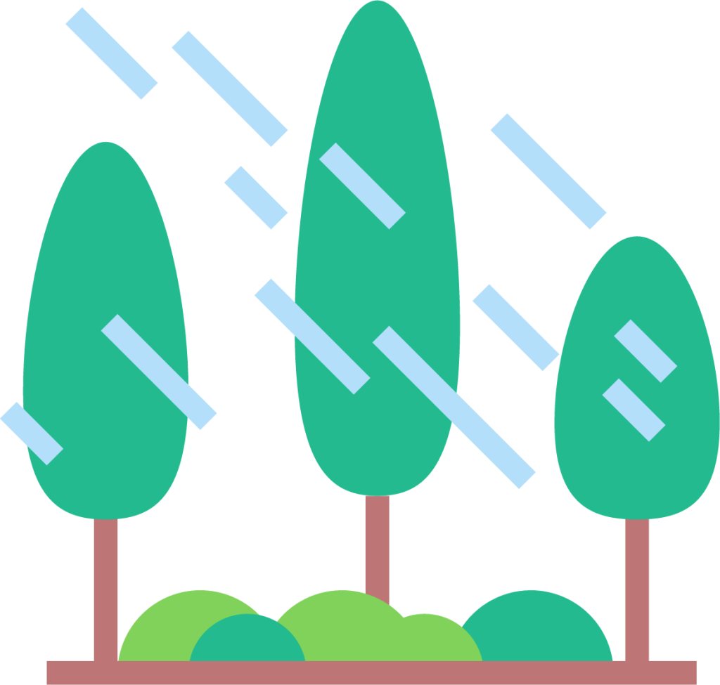 forest rain icon