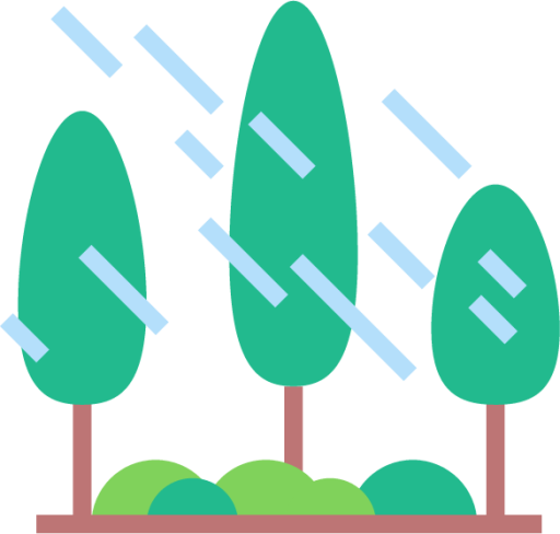 forest rain icon