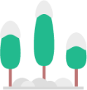 forest snow icon