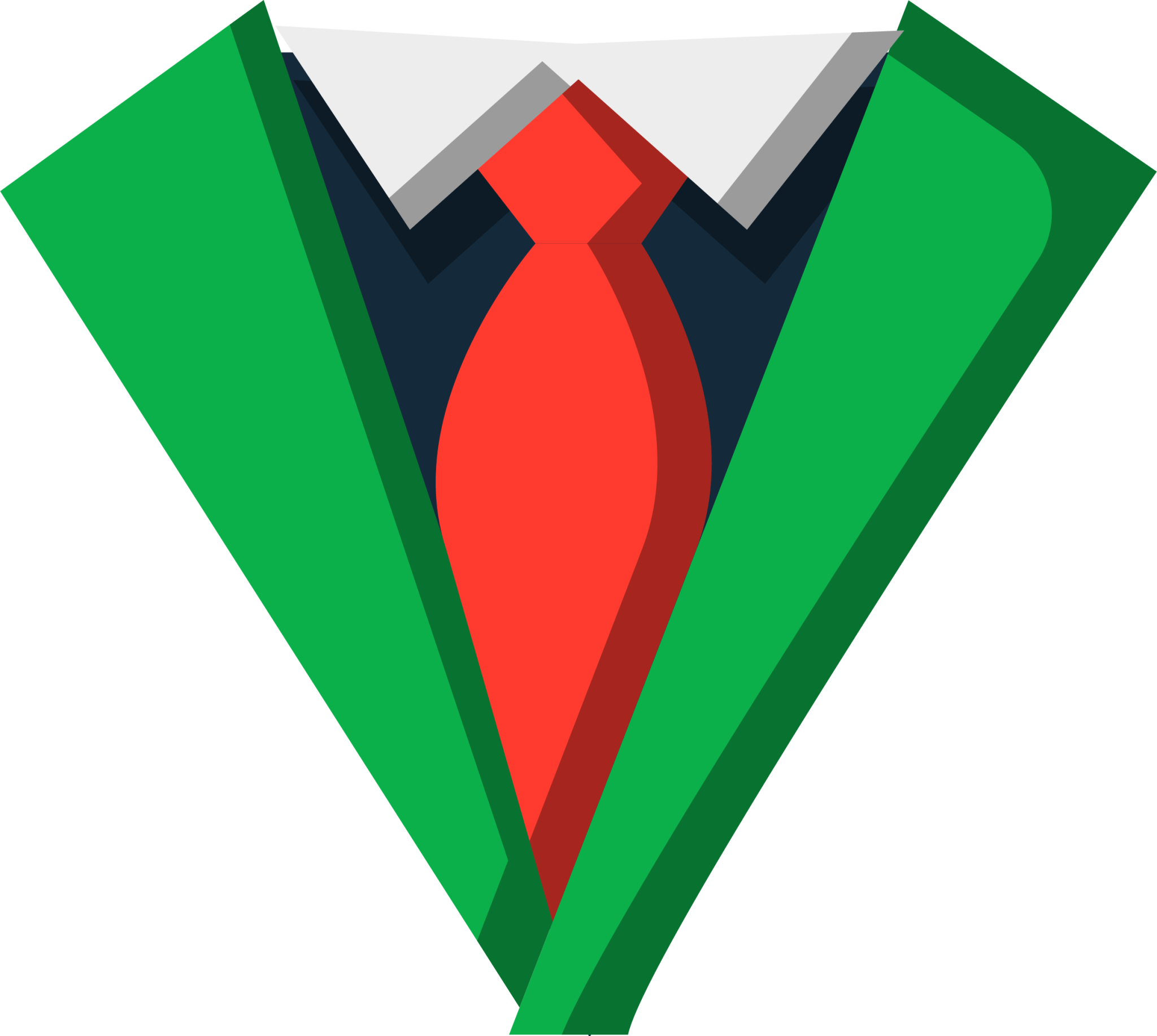 formal tie illustration