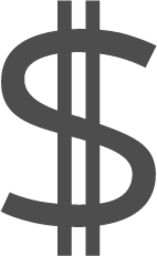 format currency icon