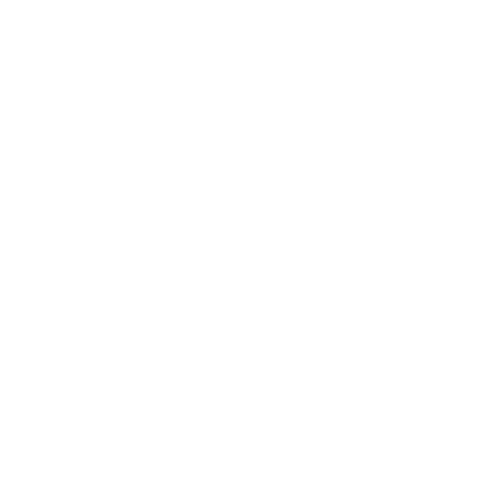 formula icon