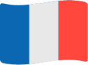 france flag icon