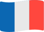 france flag icon