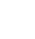frozen icon