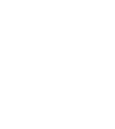frozen icon