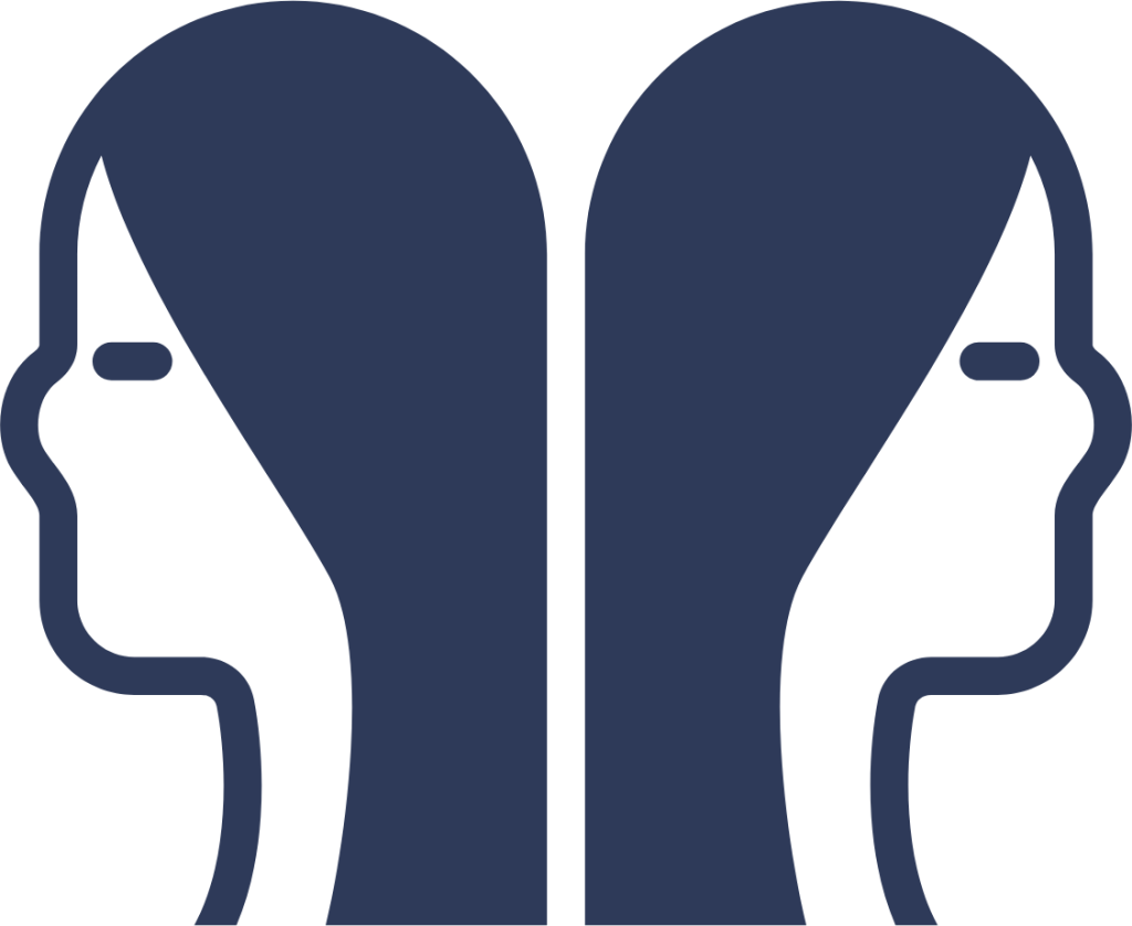 Gemini icon