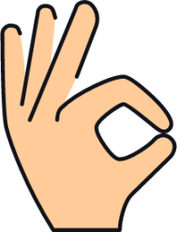 gesture ok icon