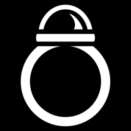 globe ring icon