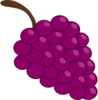 grapes icon