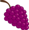 grapes icon