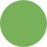 green circle emoji