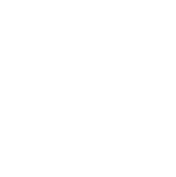 groupwise icon
