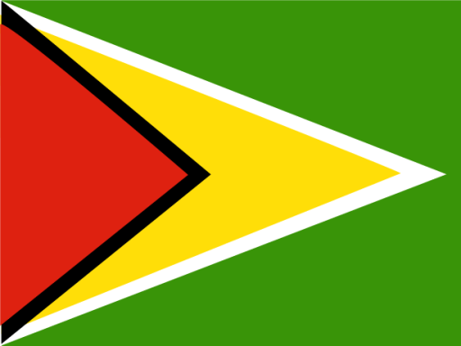 Guyana icon