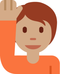 happy person raising one hand tone3 emoji