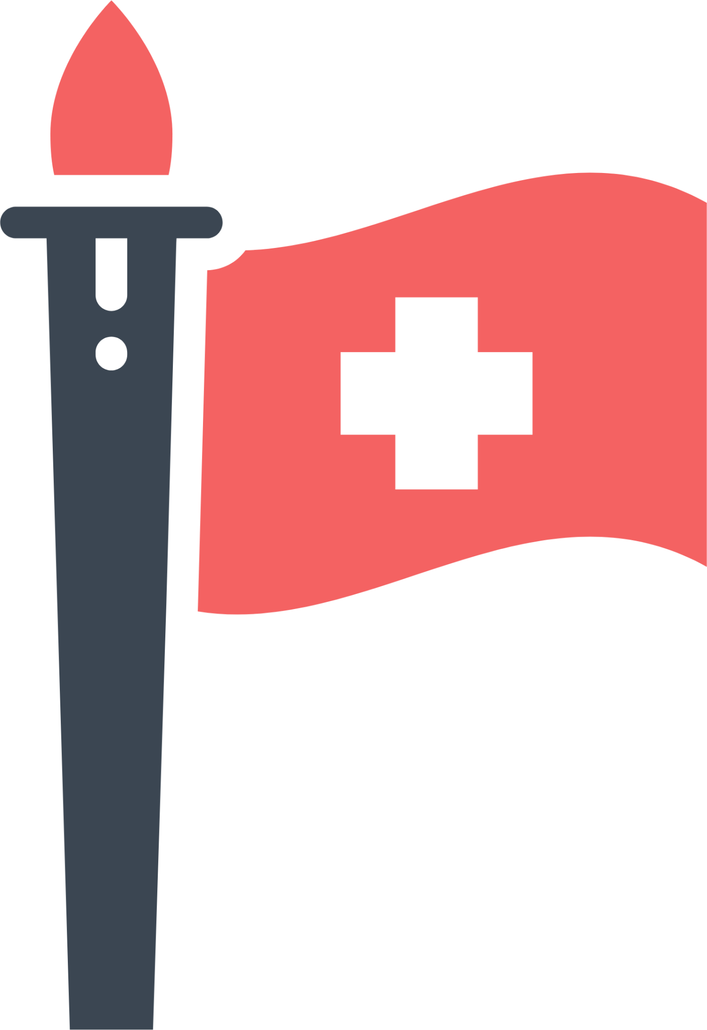 healthcare hospital medical flag 20 icon