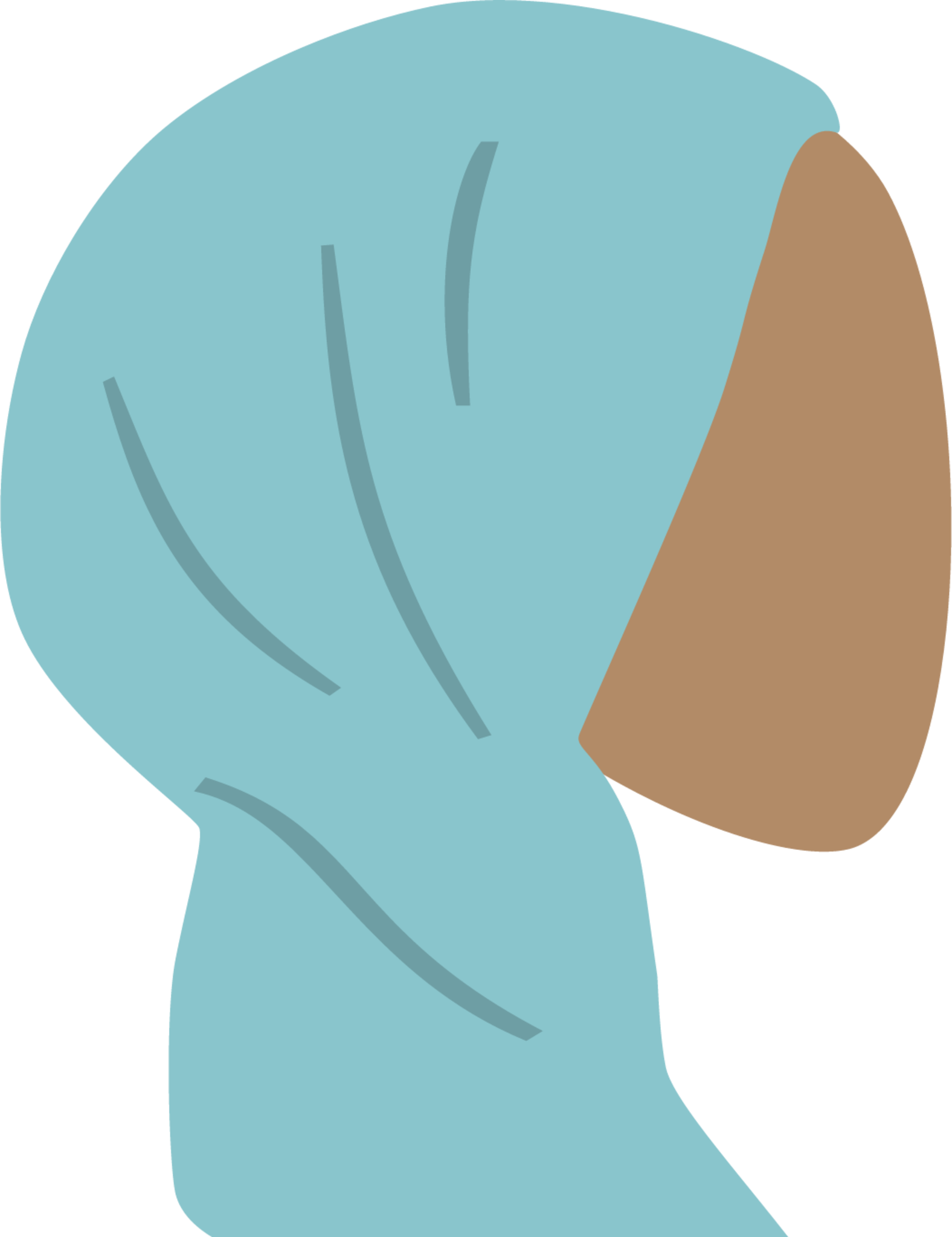 Hijab girl woman islam illustration