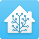 home assistant icon