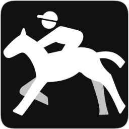 horse racing icon