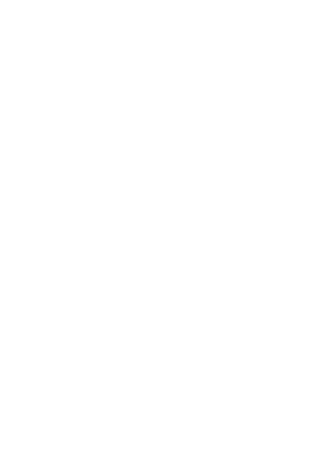 hot air balloon icon