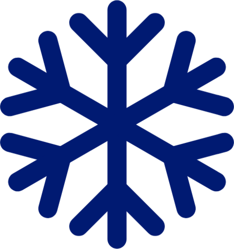 ice icon