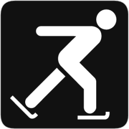 iceskating icon