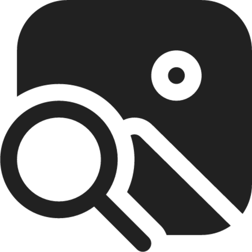 Image Search icon