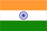 in flag icon