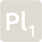 indicator keyboard Pl 1 icon