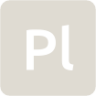 indicator keyboard Pl icon