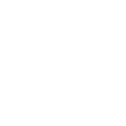 Ink Cryptocurrency icon