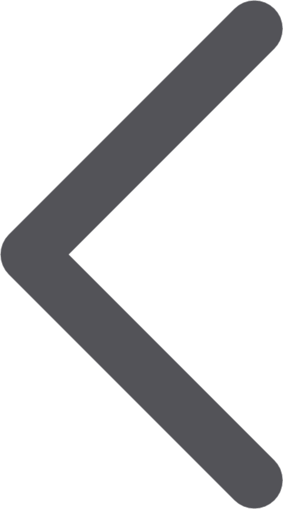 inline left icon