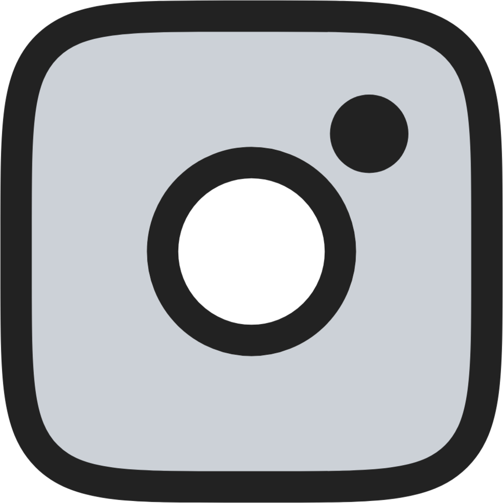 instagram duotone line icon